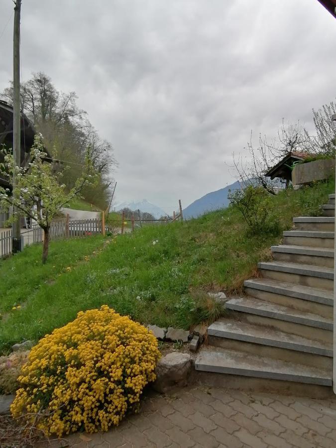 Brunners Harzerhof Apartment Iseltwald Bagian luar foto